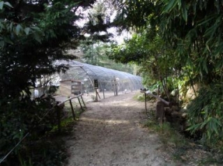 Un petit coin de paradis au coeur de la nature